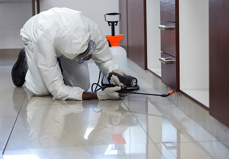 Commercial Pest Management