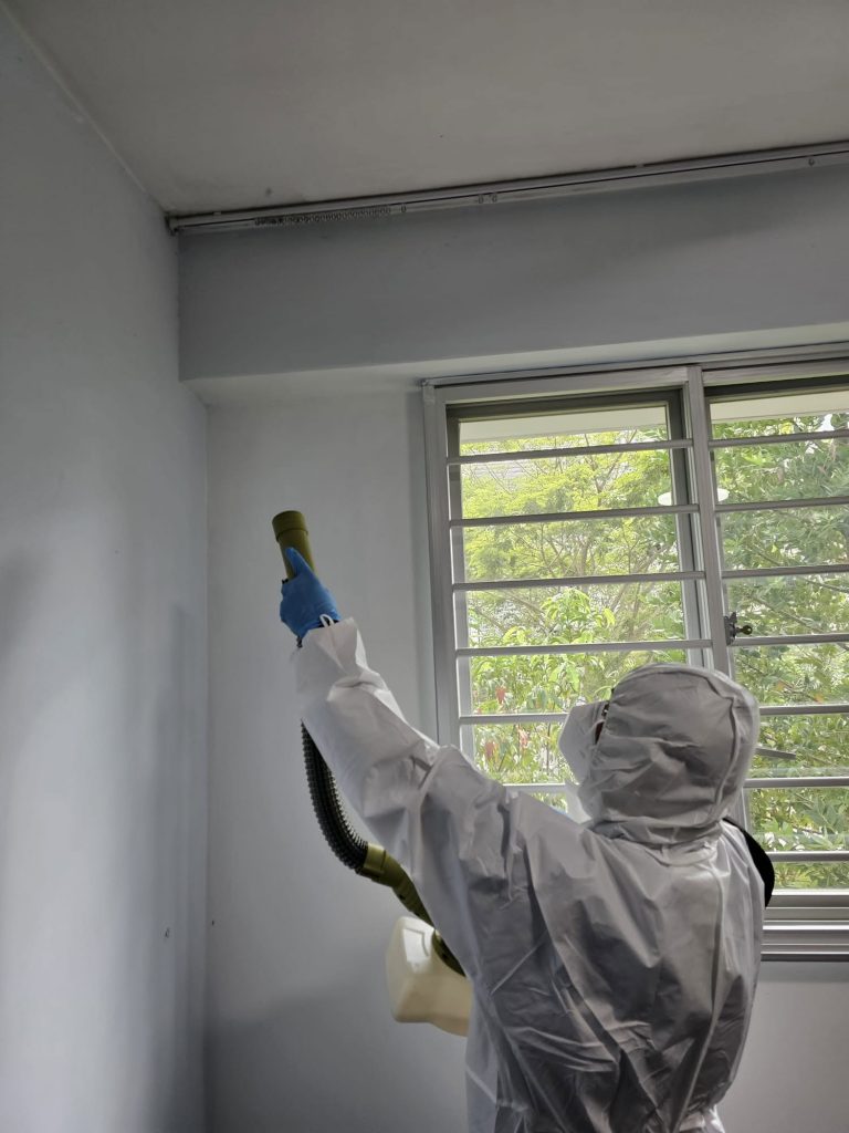 mold