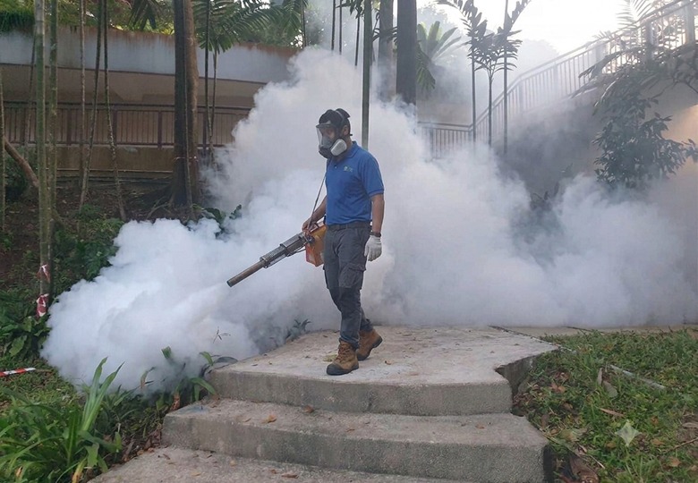 Mosquito Control