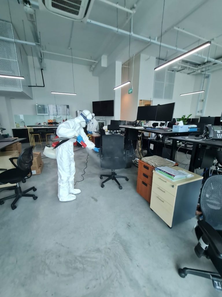 office pest control